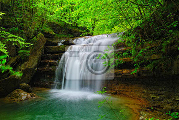 Фотообои - Тропический водопад в зелени