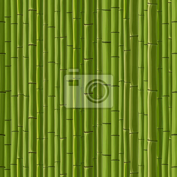 Фотообои - Стебли зеленого бамбука