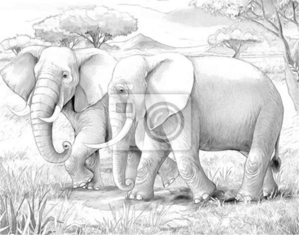 Арт-обои - Рисованная семья слонов