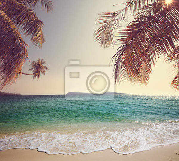 Фотообои для стен - Тропический пейзаж