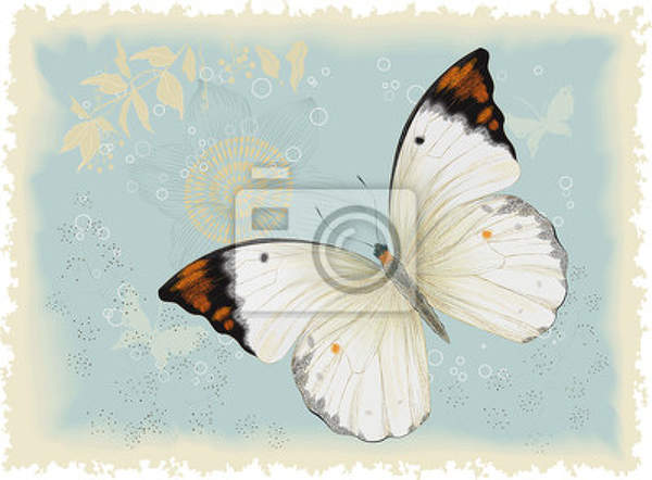 Арт-обои - Винтажная бабочка