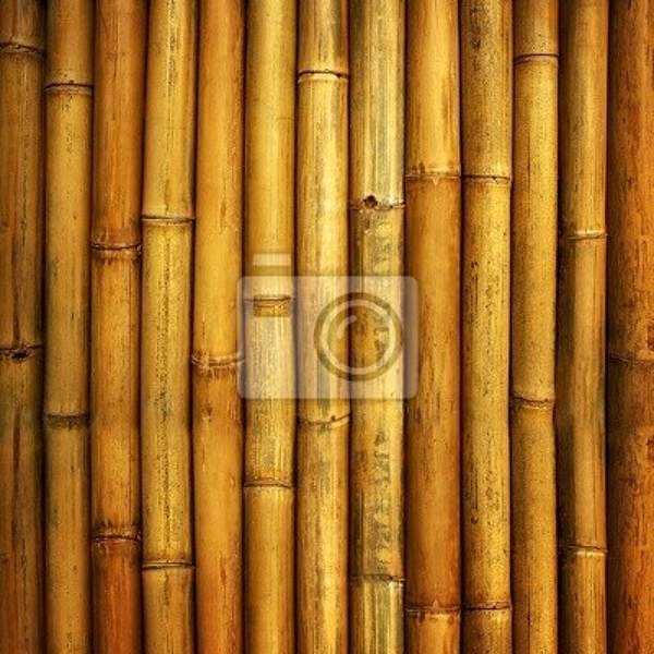 Фотообои - Сухой бамбук