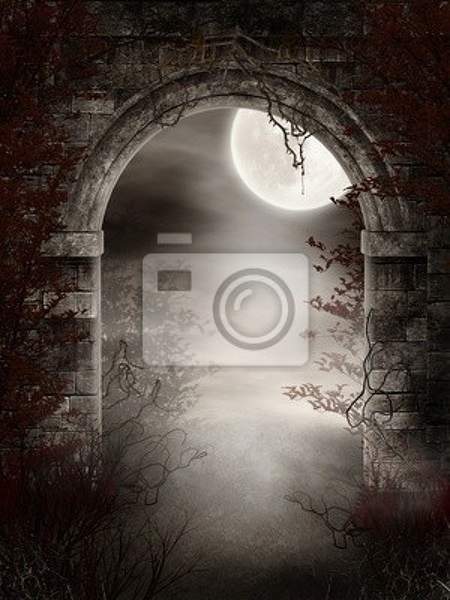 Фотообои - Готическая арка и луна