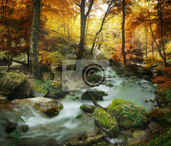 Фотообои - Водопад осенью