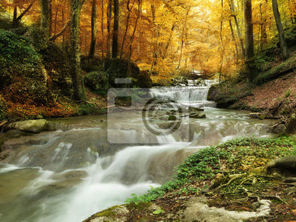 Фотообои - Лесной водопад
