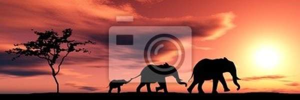 Фотообои - Семья слонов на закате
