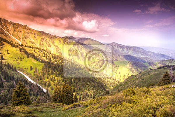 Фотообои с горной долиной