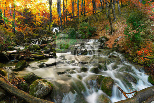 Фотообои - Красивый лесной водопад