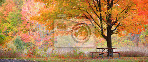 Фотообои на стену - Осень