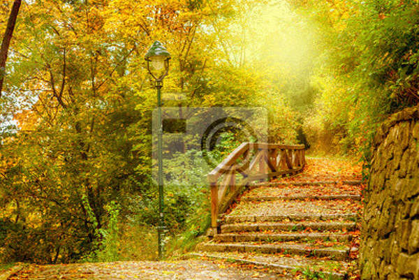 Фотообои для стен - Золотая осень