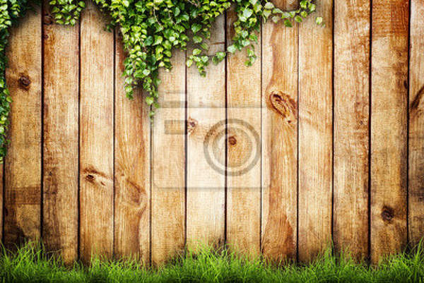 Фотообои с деревянным забором