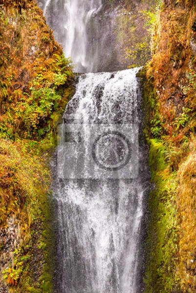 Фотообои - Орегонский водопад