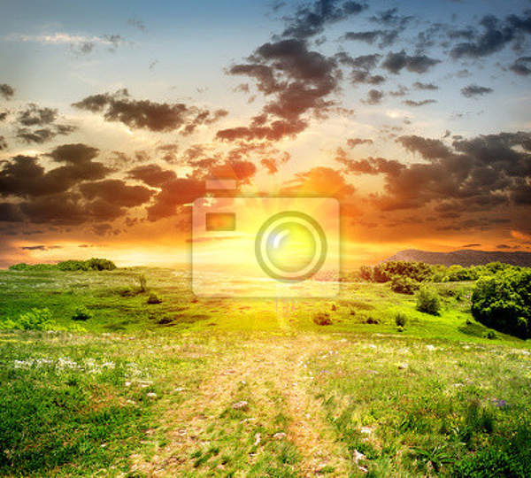 Фотообои с дорожкой