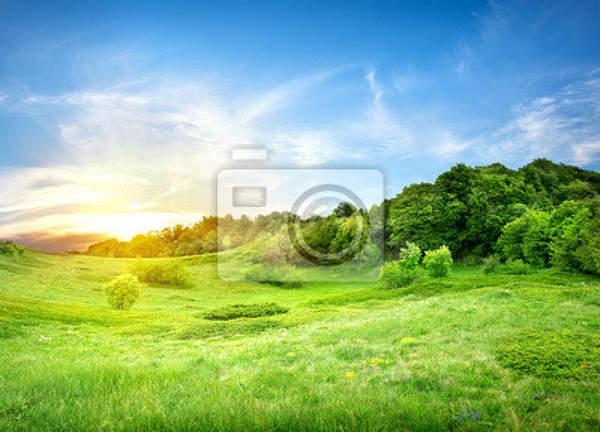 Фотообои для стен - Природный пейзаж