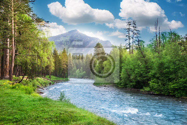 Фотообои - Горная речушка