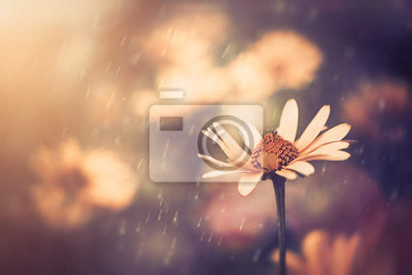 Фотообои - Ретро цветок