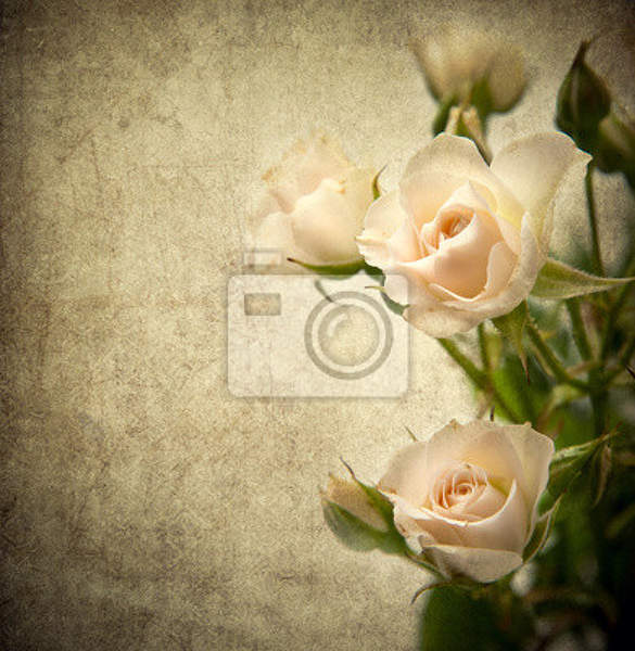 Фотообои - Винтажные розы