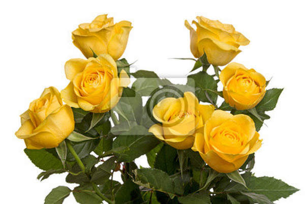 Фотообои - 7 желтых роз