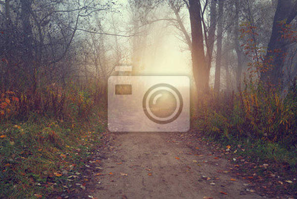 Фотообои - Туманное утро