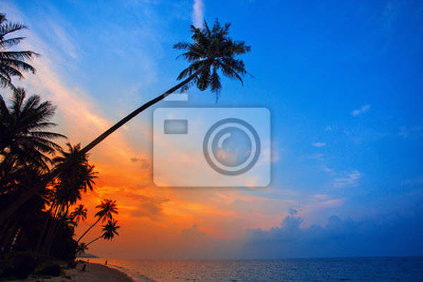 Фотообои - Закат и пальма