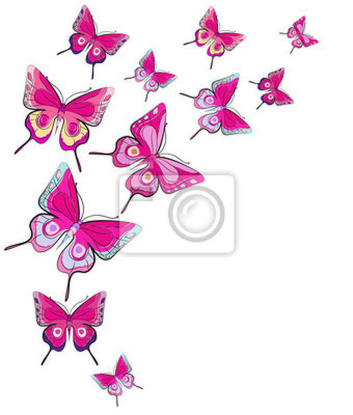 Фотообои на стену - Полет бабочек