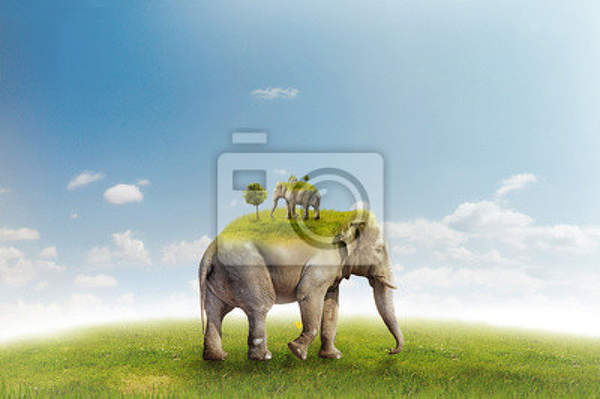 Фотообои - Слон на зеленом лугу