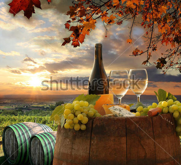 Фотообои с виноградом - Осенний пейзаж
