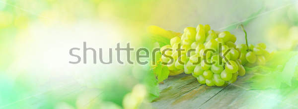 Фотообои с виноградом - панорамный натюрморт