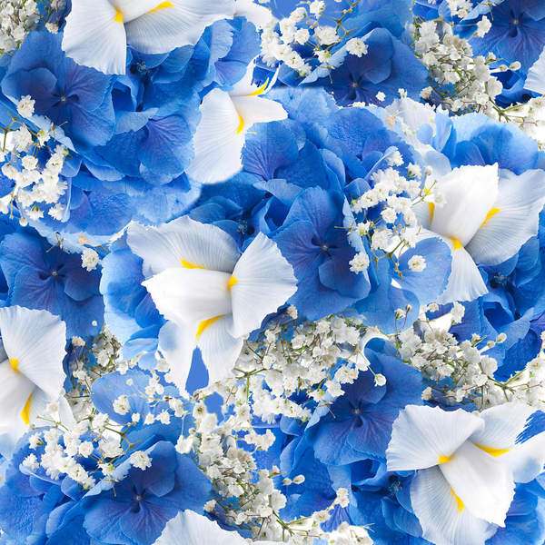Фотообои с голубым цветочный фоном