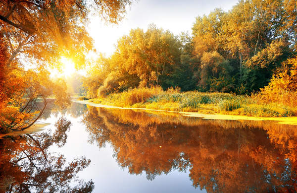 Река в осеннем лесу