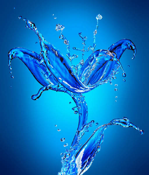 Фотообои - Цветок из воды