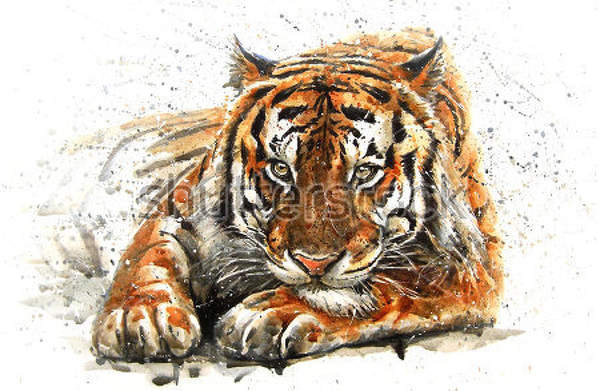 Фотообои с тигром (современная графика)