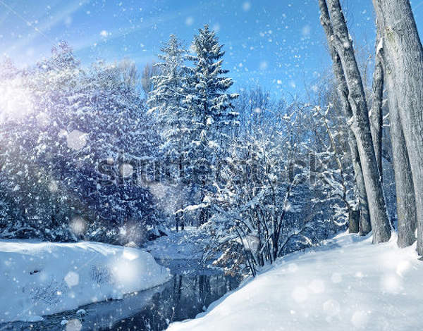 Фотообои с зимним пейзажем