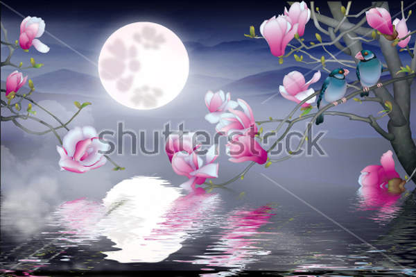 3D фотообои с цветами в ночном свете луны