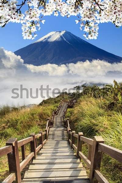 Фотообои с деревянной лестницей и цветущей сакурой