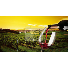 Фотообои - Вино и виноградник