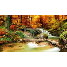Фотообои - Осенний лес с речкой