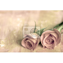 Фотообои с двумя розами