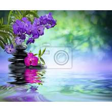 Фотообои - Фиолетовая орхидея над водой