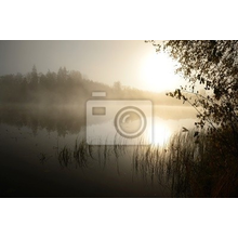 Фотообои - Утренний туман на озере