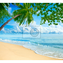 Фотообои на стену - Райский пляж с пальмами