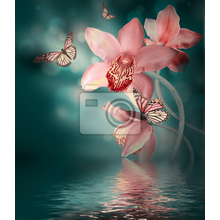 Фотообои - Орхидеи и бабочки