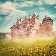 Фотообои со сказочным замком
