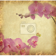 Фотообои с винтажными орхидеями