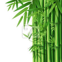 Фотообои - Рисунок с бамбуком