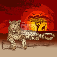 Фотообои "Леопард на закате"