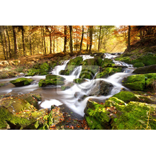 Фотообои с красивым лесным водопадом