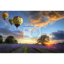 Фотообои с воздушными шарами над полем лаванды