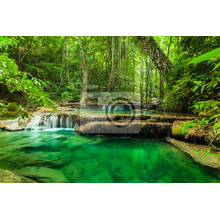 Фотообои - Водопад в лесу