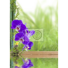Фотообои - Бамбук и орхидеи